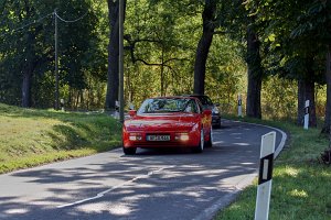 2009_09_27_Herbstparcours 2009 45